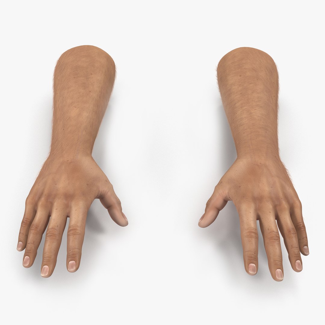 Man Hands with Fur 3D model preview