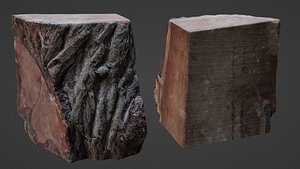 Trunk Cutted 3D model