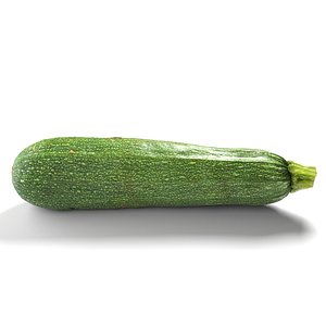 3D Zucchini Courgette - Photorealistic Scan model
