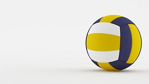 volleyball ball