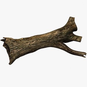 Log