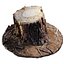 Ponderosa Stump 003