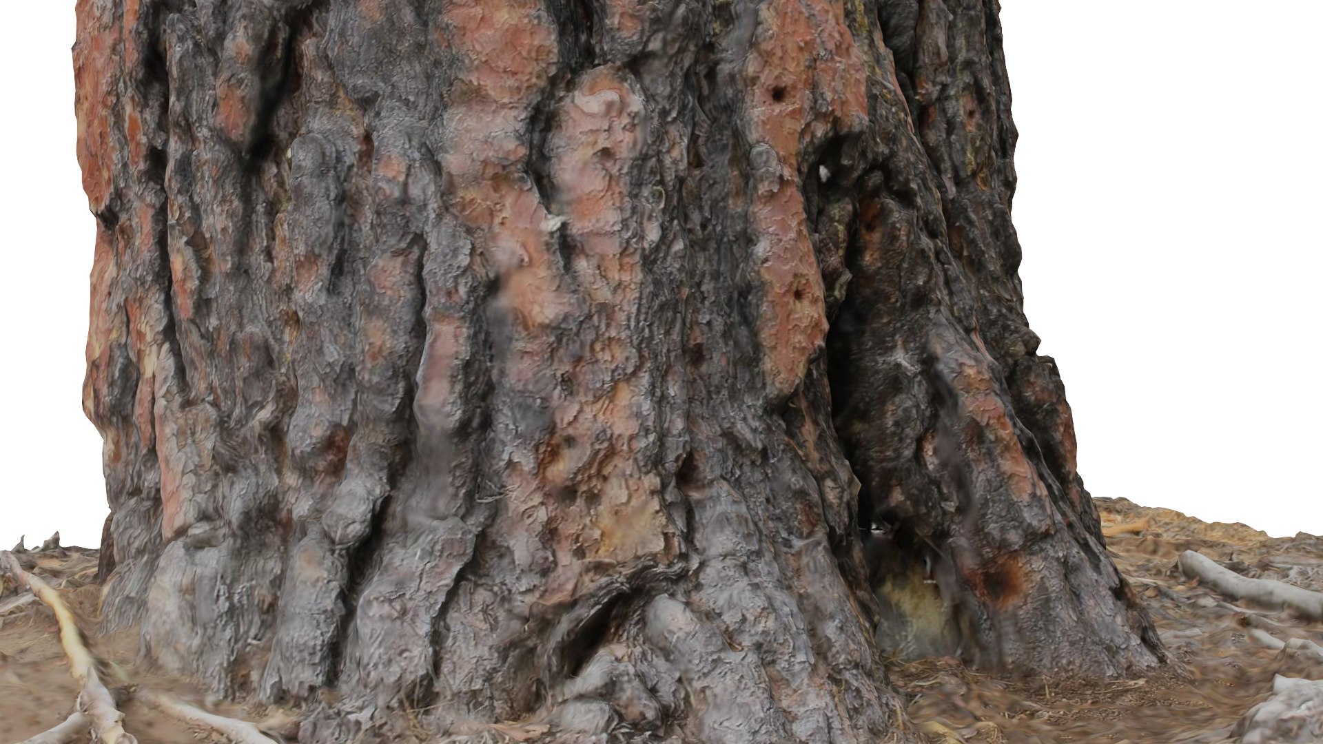 ponderosa tree stump 3D model https://p.turbosquid.com/ts-thumb/Cd/CbCqeV/5K42Xjei/col05/png/1553641312/1920x1080/fit_q87/ca02a8ffdba35d89bddd9fb881c4473a08b8eb1f/col05.jpg