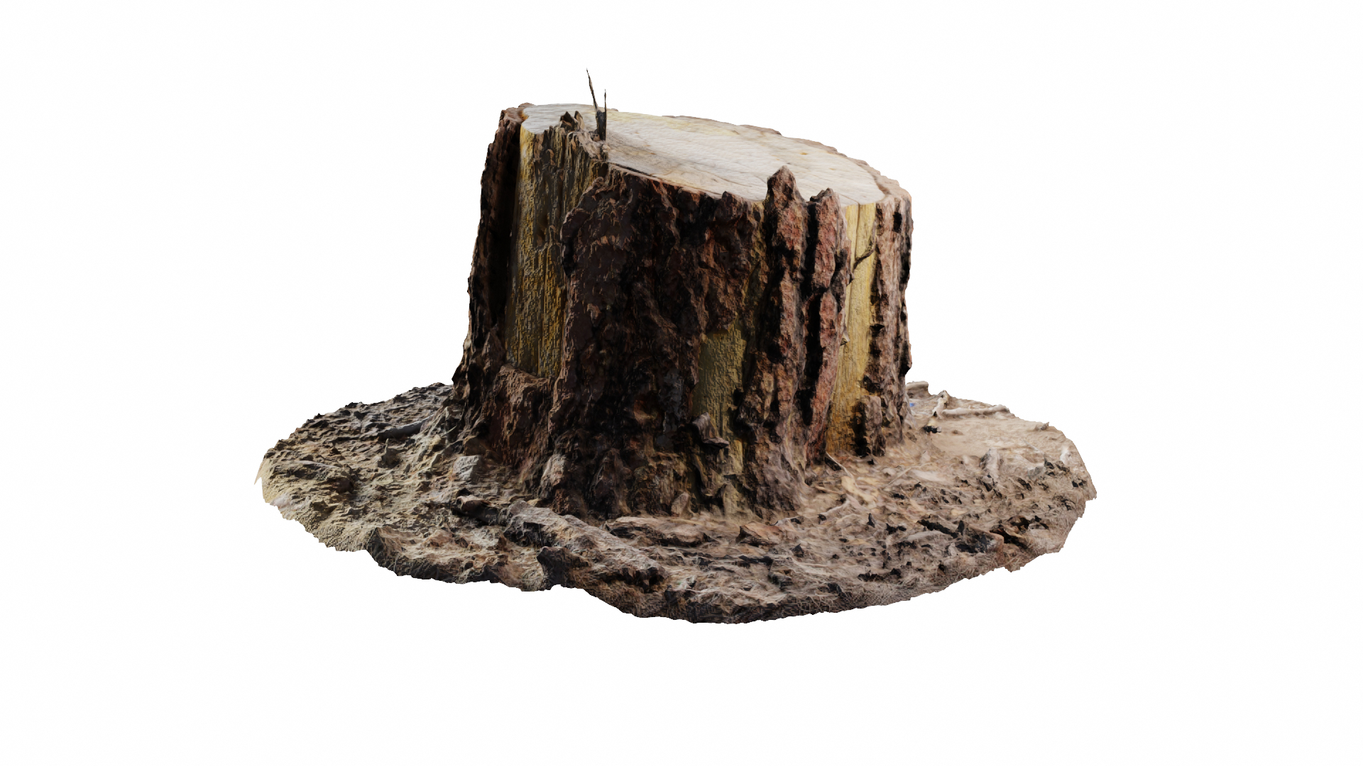ponderosa tree stump 3D model https://p.turbosquid.com/ts-thumb/Cd/CbCqeV/F26lcjMh/01/png/1553638515/1920x1080/turn_fit_q99/2f5f48bfbf1db5d13d360274e80e87bb4246d71c/01-1.jpg