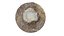 Ponderosa Stump 003