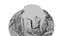 Ponderosa Stump 003