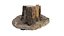 Ponderosa Stump 003