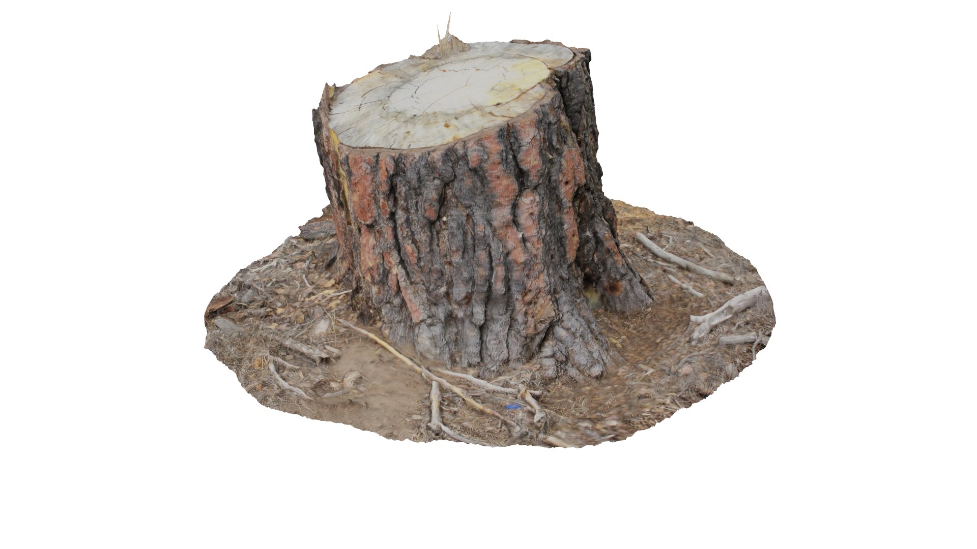 ponderosa tree stump 3D model https://p.turbosquid.com/ts-thumb/Cd/CbCqeV/f19NtzLR/col10/png/1553641313/1920x1080/fit_q87/32cc10f2cd4a60a592735735a27e88c6901aef83/col10.jpg