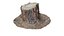 Ponderosa Stump 003