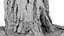 Ponderosa Stump 003
