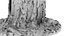 Ponderosa Stump 003