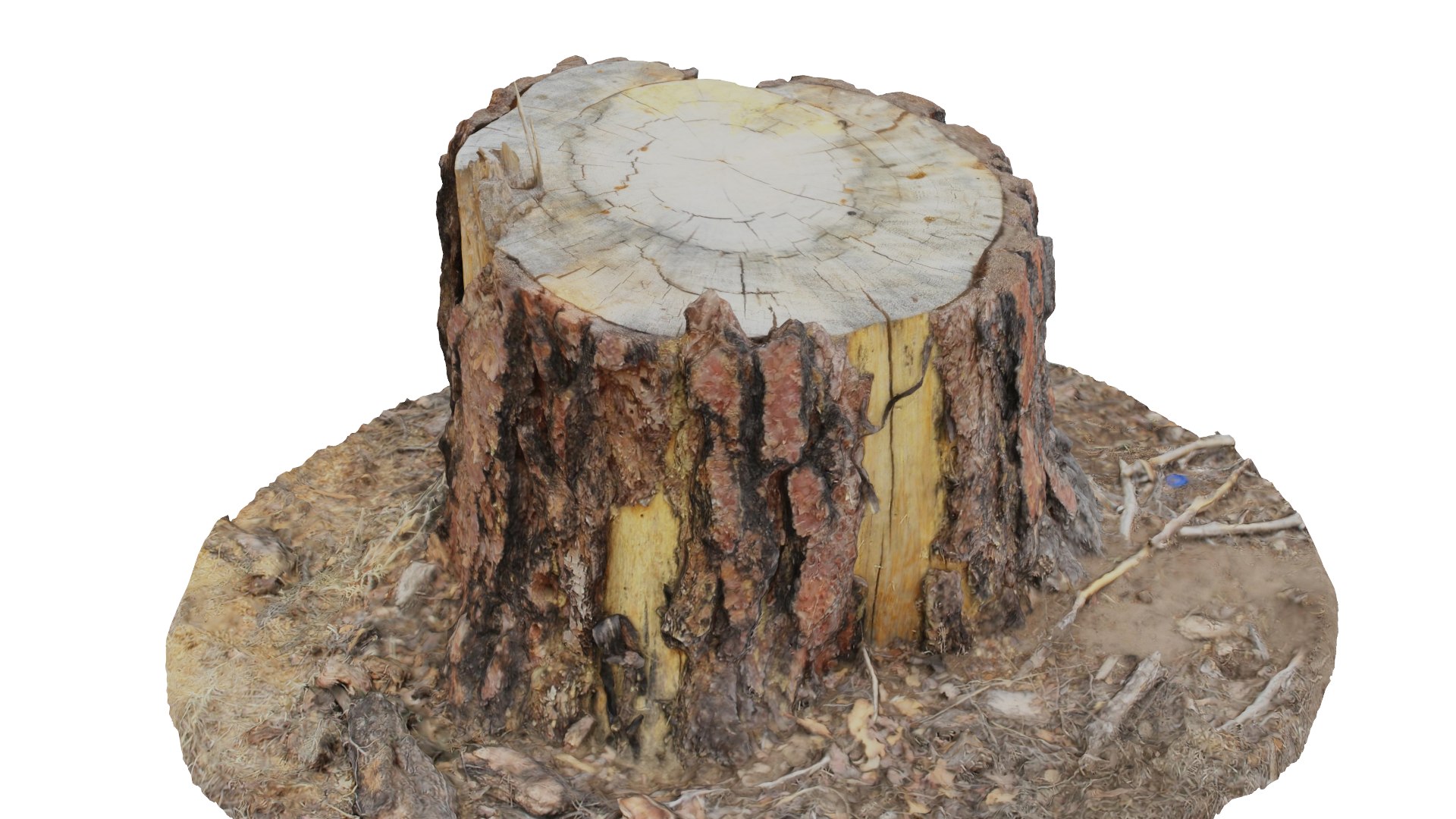ponderosa tree stump 3D model https://p.turbosquid.com/ts-thumb/Cd/CbCqeV/zgYAPoy6/col02/png/1553641312/1920x1080/fit_q87/5fc02de485adc3be311ec95e63b0f2edc29a1062/col02.jpg