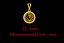Diamond Om Pendant - 0040