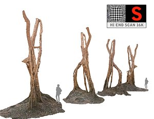 Jungle  liane  tree 16K