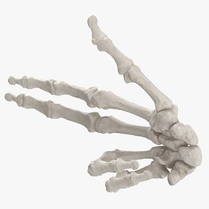 Real Human Hand Bones White Gun Sign