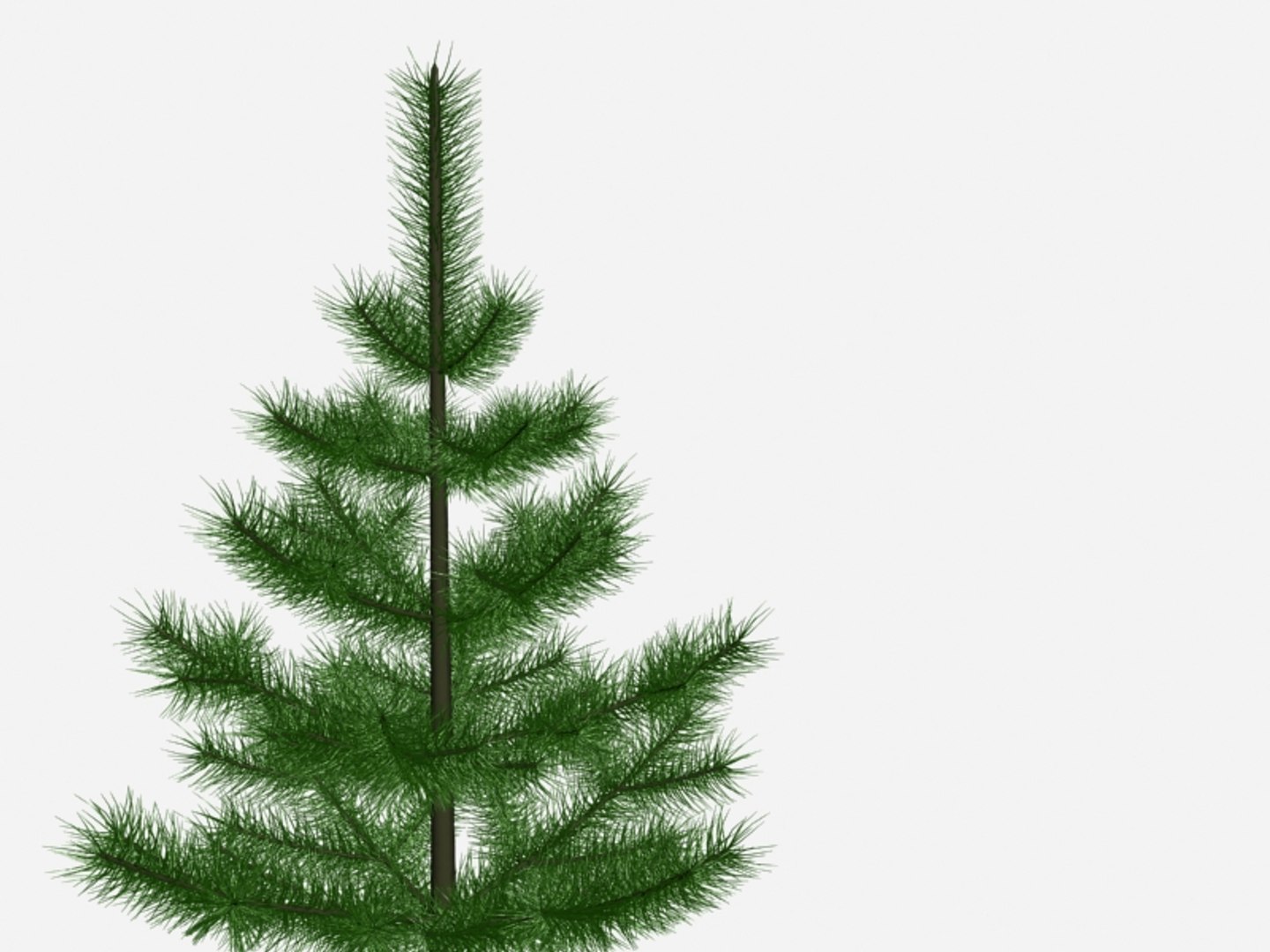 Petite Fir-tree 3d 3ds