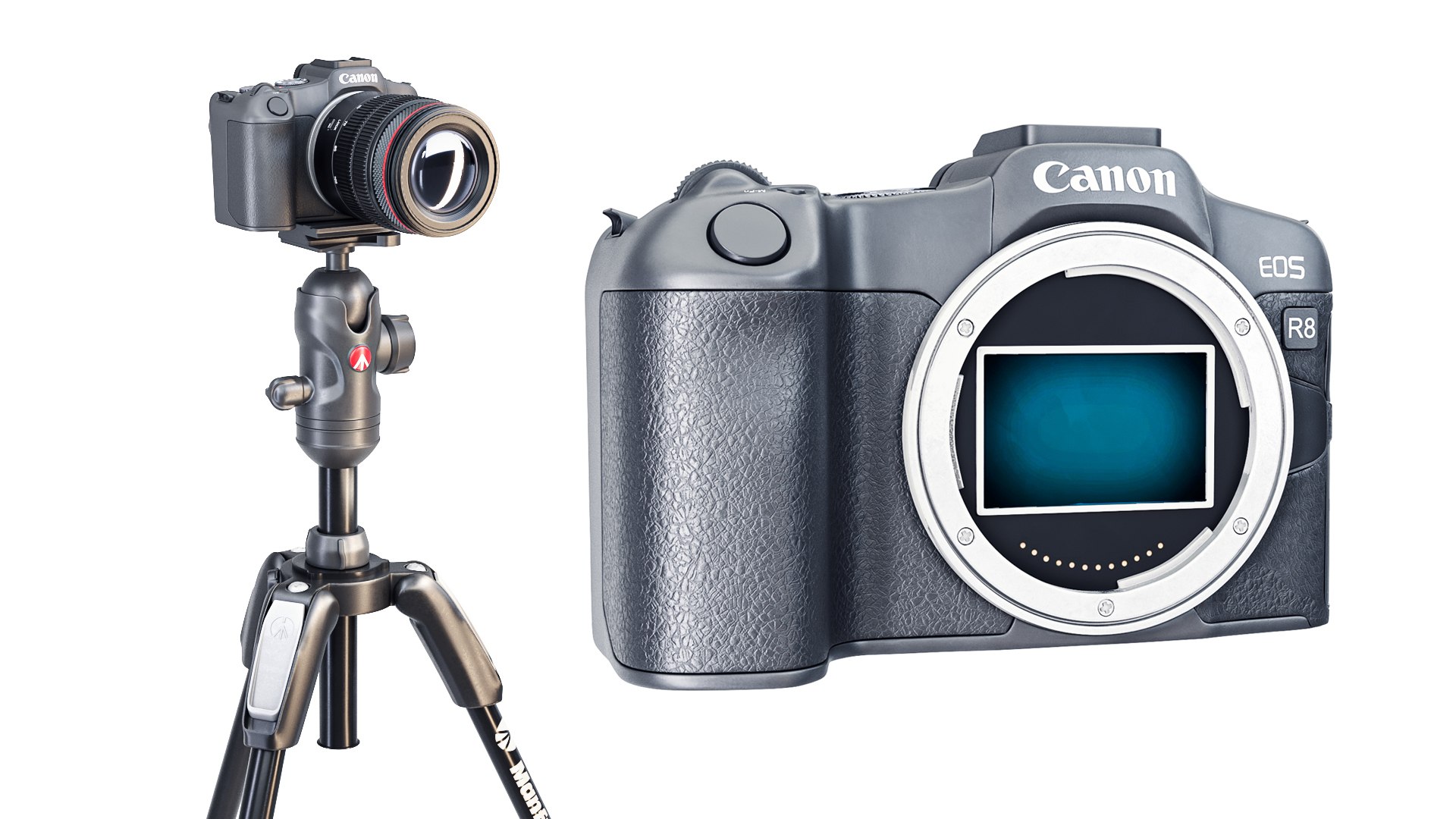 Canon EOS R8 Camera 3D Model - TurboSquid 2473341