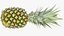 3D Ultra Detailed Pineapple model