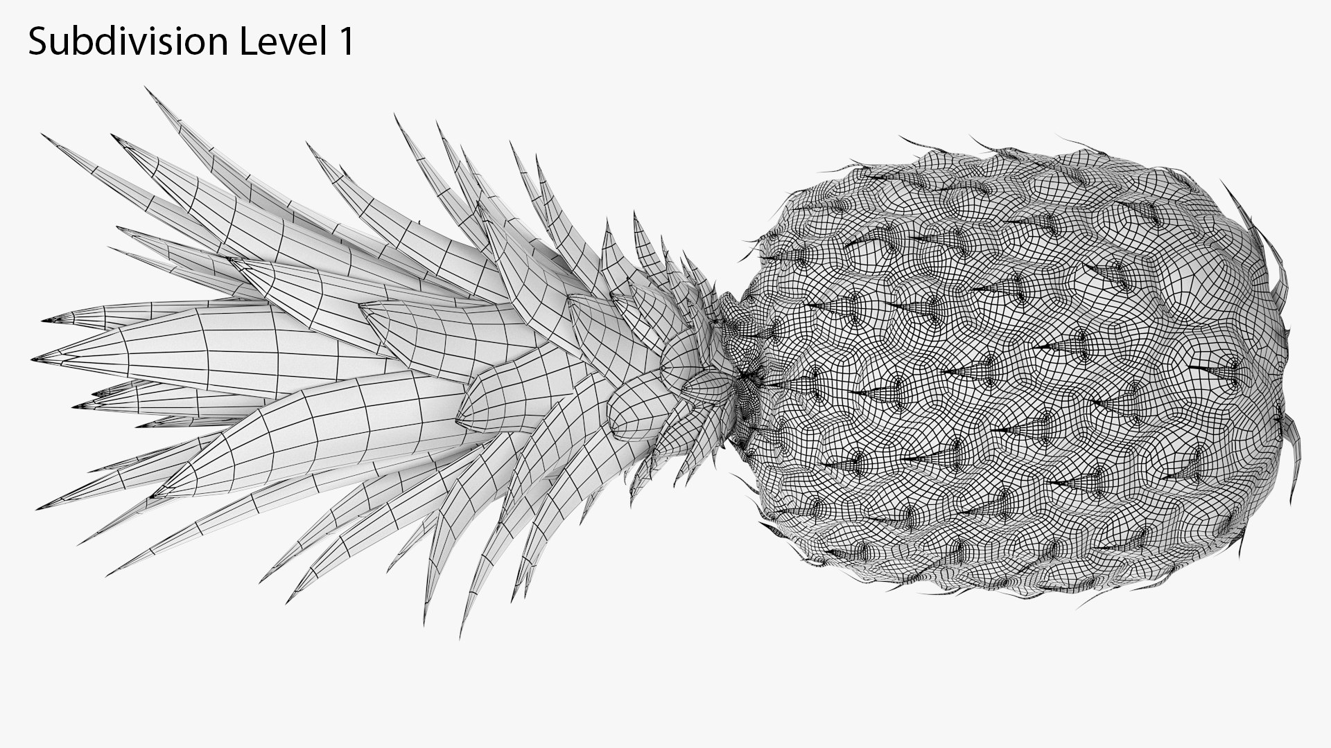 3D Ultra Detailed Pineapple model https://p.turbosquid.com/ts-thumb/Cd/tyalFN/AP/14_04prod.shotsidebackwire1sbdts/png/1639044509/1920x1080/fit_q87/5bf0f62434cea7022535cd716328dc73e38d7f4c/14_04prod.shotsidebackwire1sbdts.jpg