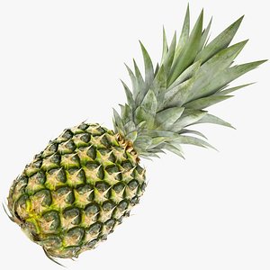 Ultra Detailed Pineapple