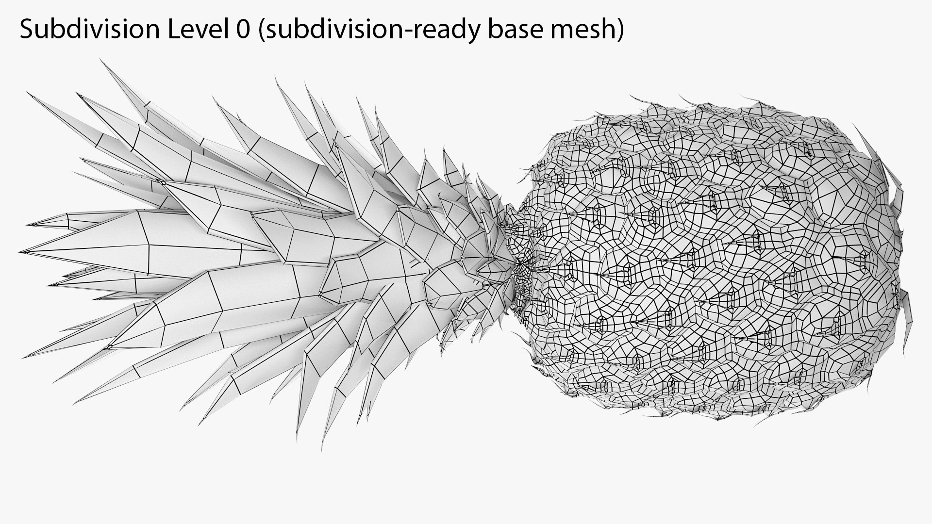 3D Ultra Detailed Pineapple model https://p.turbosquid.com/ts-thumb/Cd/tyalFN/J6/13_04prod.shotsidebackwire0sbdts/png/1639044509/1920x1080/fit_q87/e837589fa89f1a3af3da50793648a91181784f36/13_04prod.shotsidebackwire0sbdts.jpg
