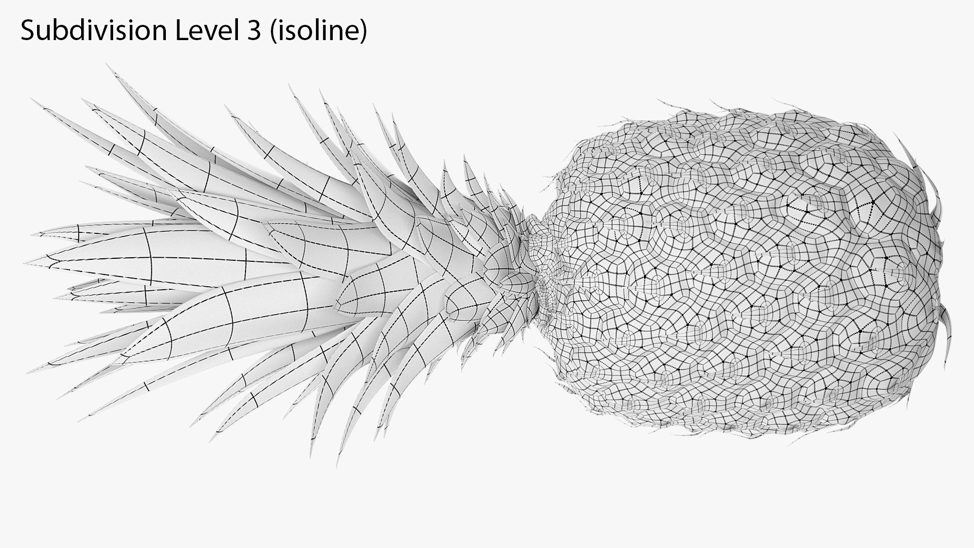3D Ultra Detailed Pineapple model https://p.turbosquid.com/ts-thumb/Cd/tyalFN/QK/16_04prod.shotsidebackwireisots/png/1639044509/1920x1080/fit_q87/791475b56f8745e39cadae94db5083e6d91f61a0/16_04prod.shotsidebackwireisots.jpg
