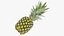 3D Ultra Detailed Pineapple model