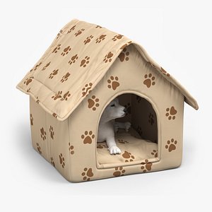 White Labrador Puppy Dog in Cozy Pet House 3D model