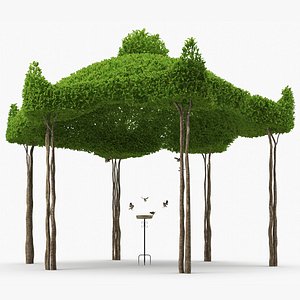 Birds Drink From A Birdbath In A Garden Gazebo 3D model