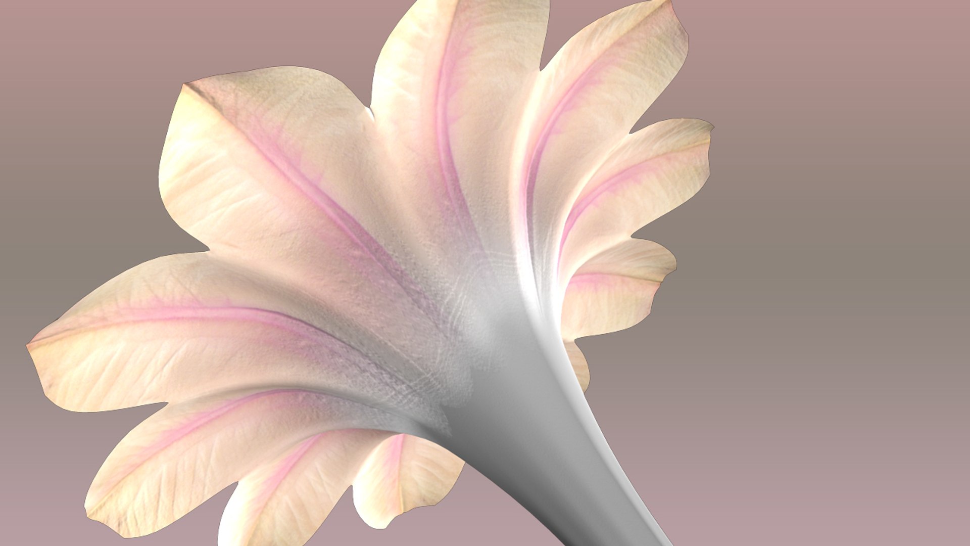 structure flower obj https://p.turbosquid.com/ts-thumb/Ce/836Ner/OZQVVd75/structureofaflower_04/jpg/1415431653/1920x1080/fit_q87/b71c3637f0bd4383a4cb99443420706bc77261ac/structureofaflower_04.jpg