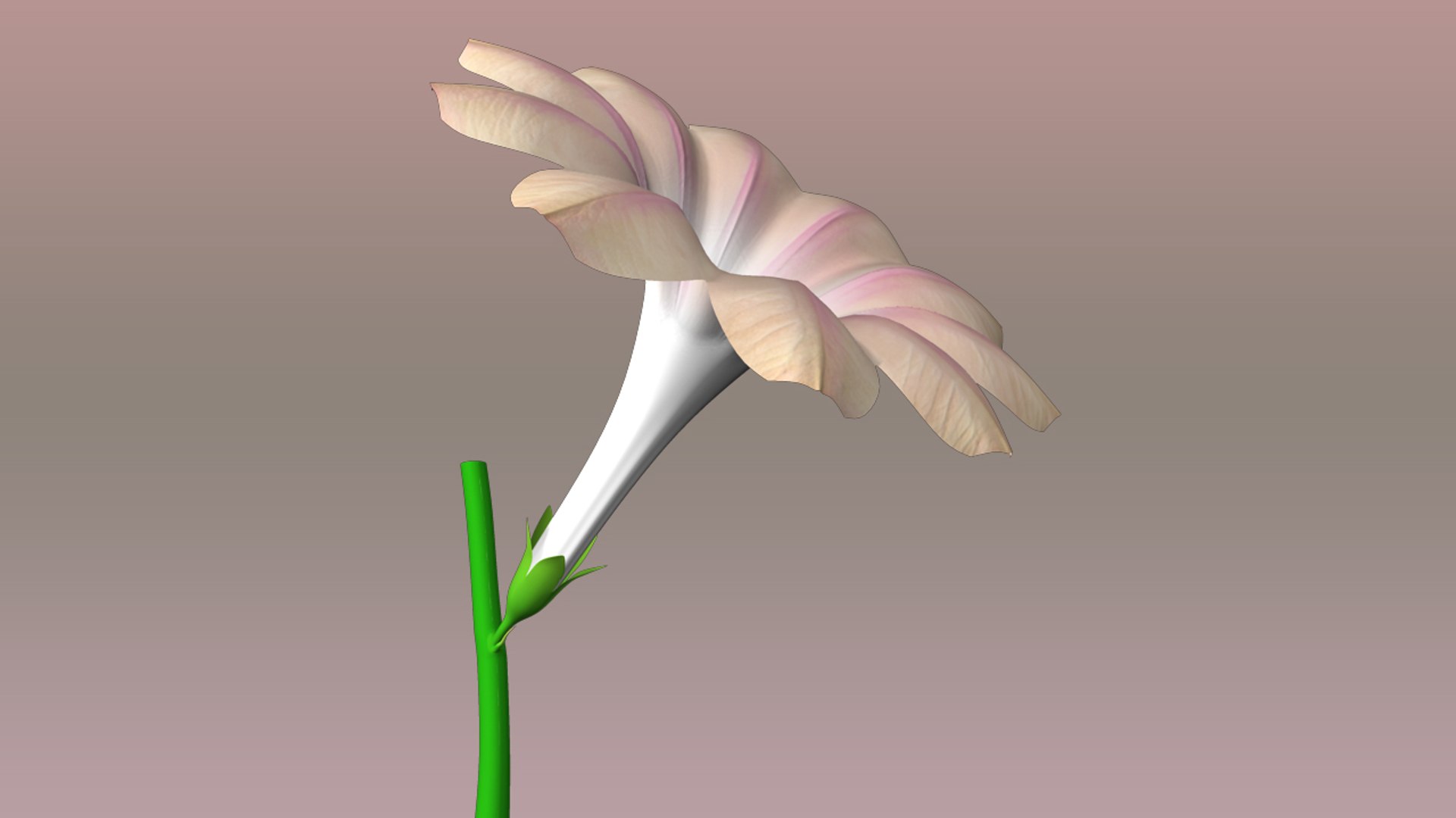 structure flower obj https://p.turbosquid.com/ts-thumb/Ce/836Ner/lxxQF1q5/structureofaflower_01/jpg/1415431652/1920x1080/fit_q87/192213138a4f6c1e4f9bf9c8f2f9204e30af365f/structureofaflower_01.jpg