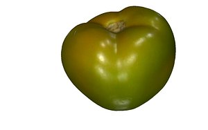 green tomato 3D model