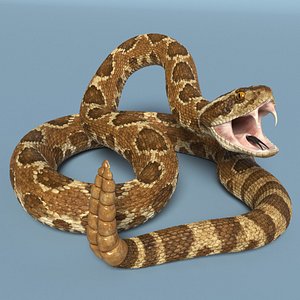 3D model Light Rattlesnake Attack Animated Rigged for Maya
