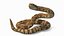 Ataque de serpiente de cascabel ligera animado y preparado para Maya