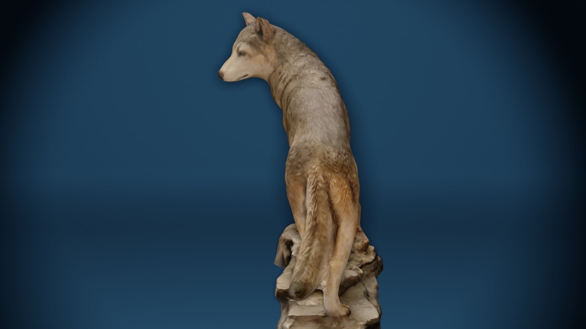 Big Wolf Statue Photoscan 3D model https://p.turbosquid.com/ts-thumb/Ce/YMRN0d/CW/bigwolf0060/jpg/1669865244/1920x1080/fit_q87/a6b022de5b76cd7aeb0a56798fc767ef4198b4d3/bigwolf0060.jpg
