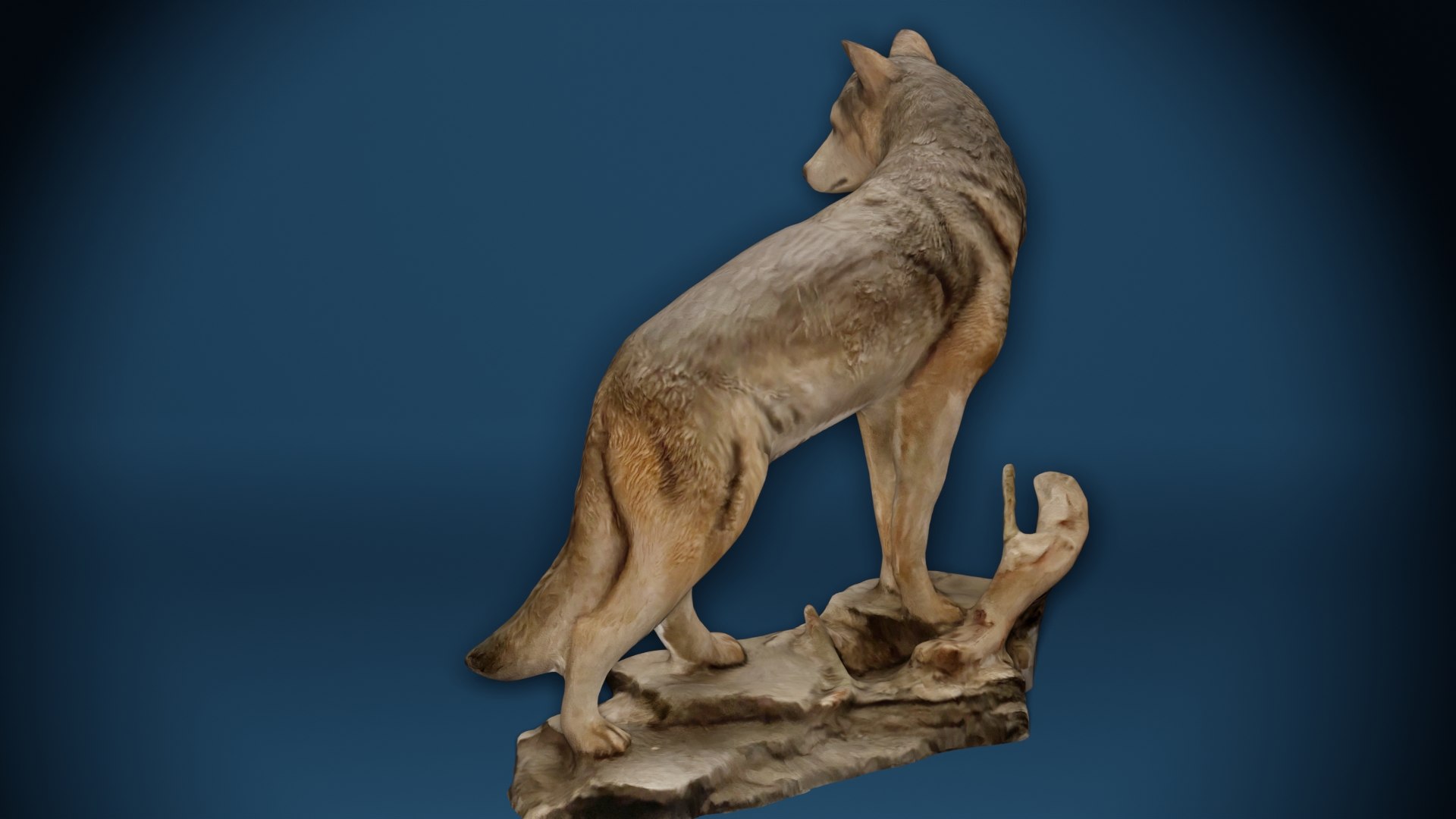 Big Wolf Statue Photoscan 3D model https://p.turbosquid.com/ts-thumb/Ce/YMRN0d/FY/bigwolf0090/jpg/1669865256/1920x1080/fit_q87/56386bebb85b7c4f13b375ac6bdc7ce4a2516cb5/bigwolf0090.jpg