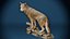 Big Wolf Statue Photoscan