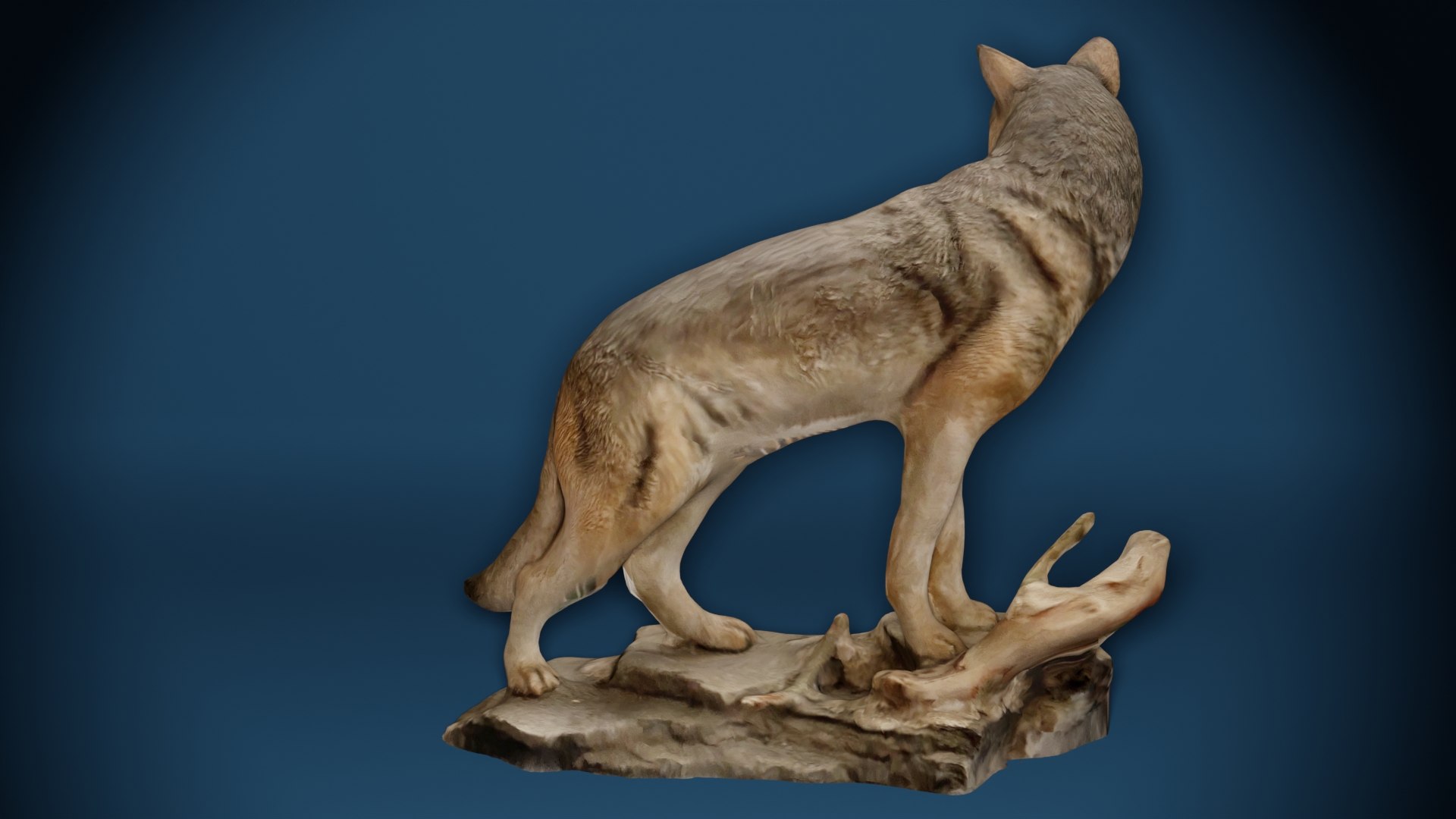Big Wolf Statue Photoscan 3D model https://p.turbosquid.com/ts-thumb/Ce/YMRN0d/wA/bigwolf0120/jpg/1669865262/1920x1080/fit_q87/14f1d7af0c769bcfe59cf0b1f80196fee59f2426/bigwolf0120.jpg