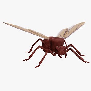 3D Ant With Wings