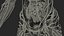 male skeleton internal organs 3D