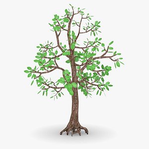 beech tree 3d model