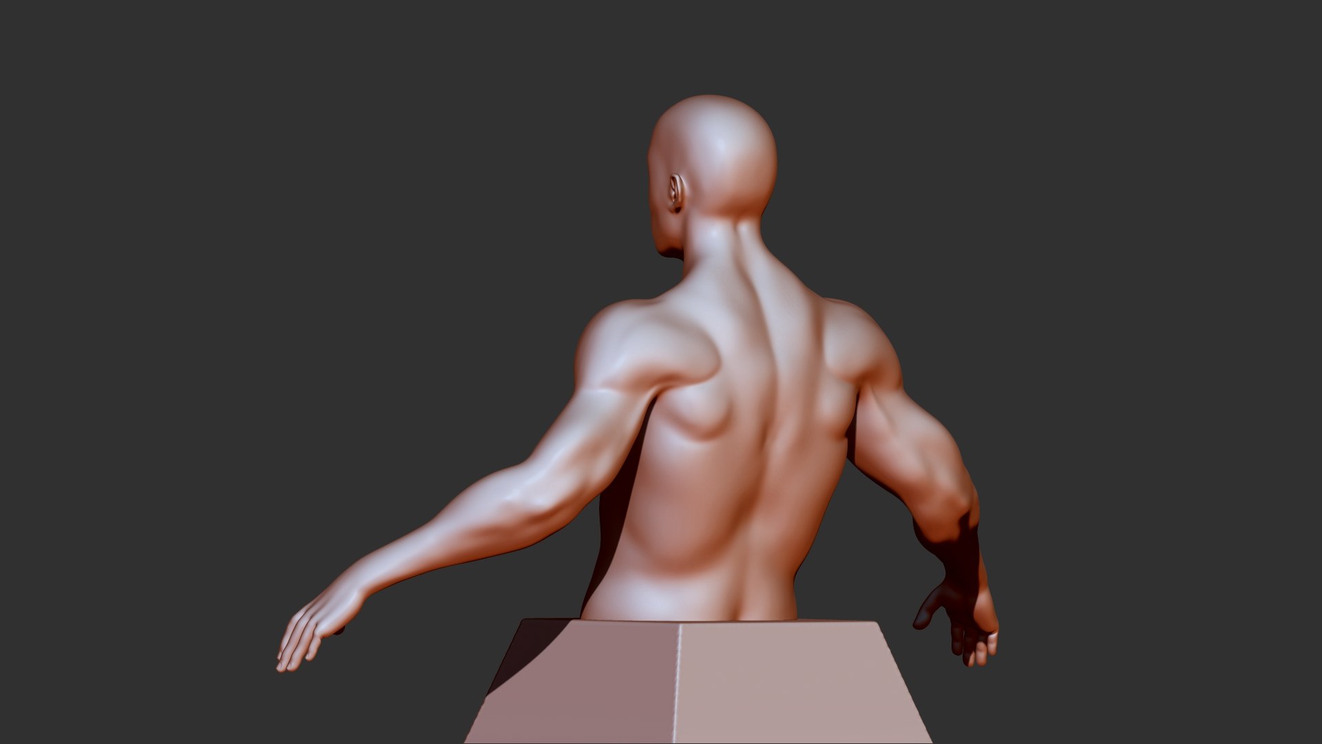 3D Male Torso Print - TurboSquid 1724422