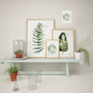 3d model plants pictures