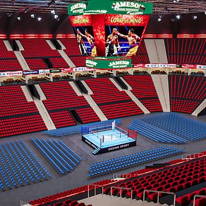 3D Boxing Arena model