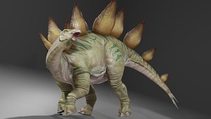 3D Stegosaurus Low-poly 3D model model