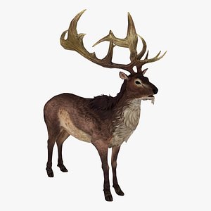 Giant Deer 3D model