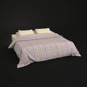 3D v-ray