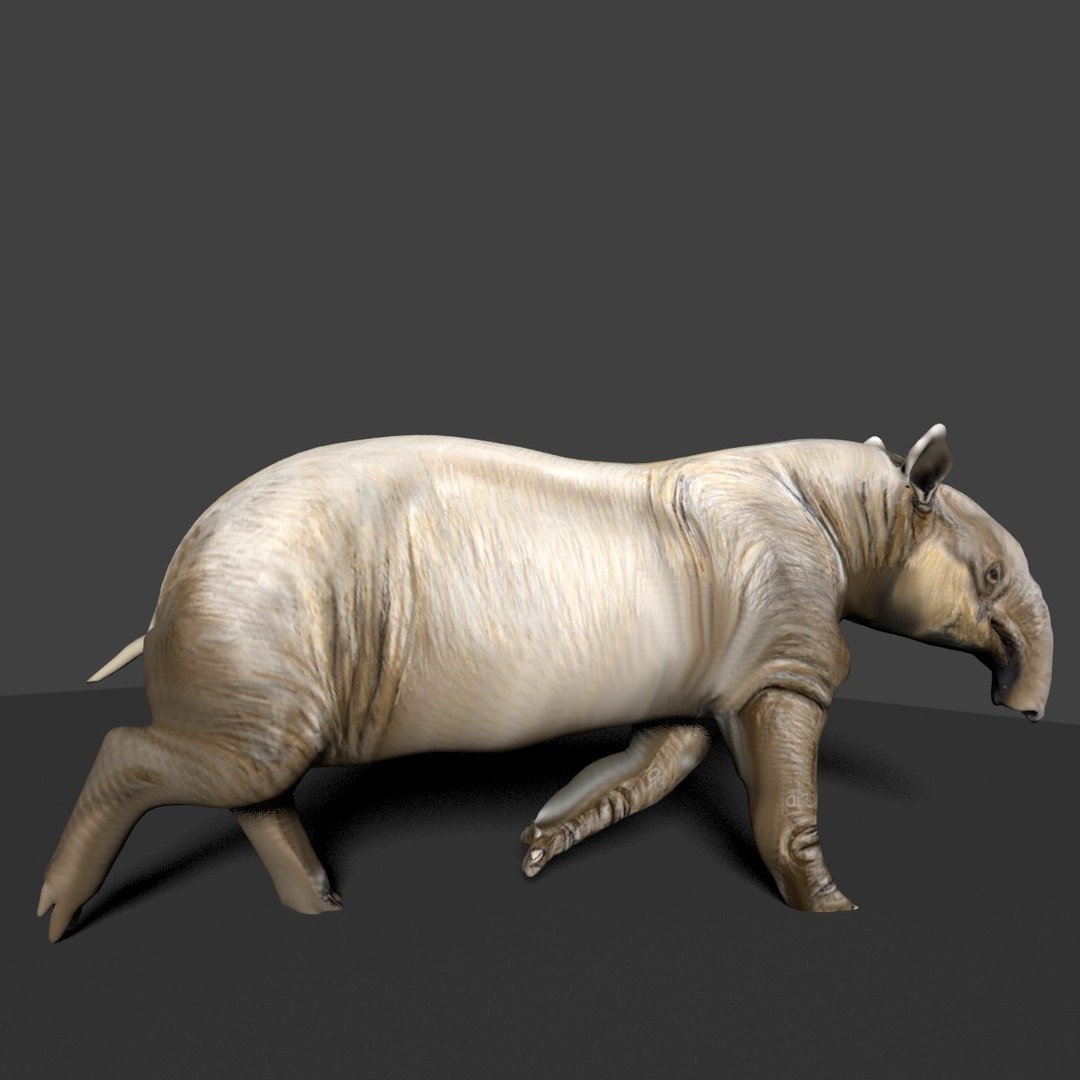Tapir 3d Model