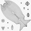 Fisch Thunfisch stilisiert 3D-Modell