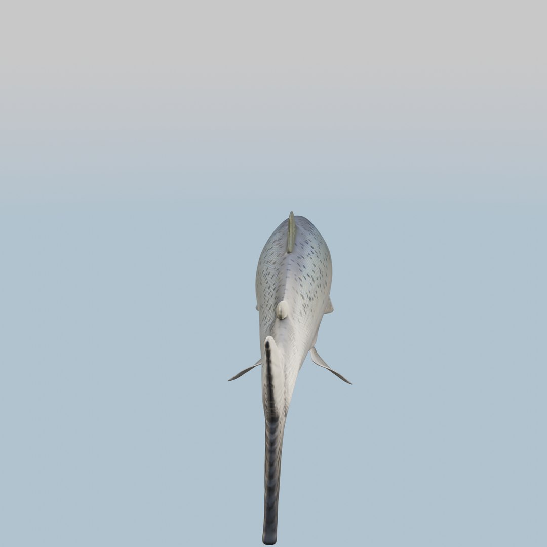 Fish TunaStylized 3D Model 3D model https://p.turbosquid.com/ts-thumb/Cf/OK3TwW/4b/turntable_0008/png/1722922378/1920x1080/fit_q87/71330b23eac1418ff8728953b80c4ef3dcfbc71e/turntable_0008.jpg